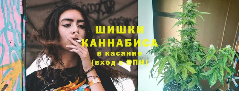 Марихуана индика  нарко площадка наркотические препараты  Батайск 